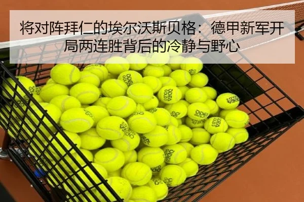 将对阵拜仁的埃尔沃斯贝格：德甲新军开局两连胜背后的冷静与野心